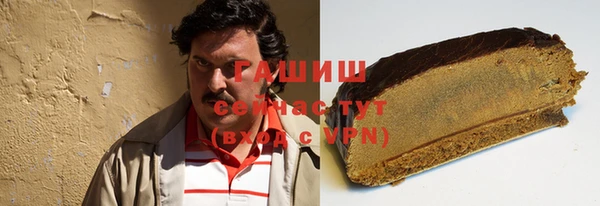 гашик Балахна