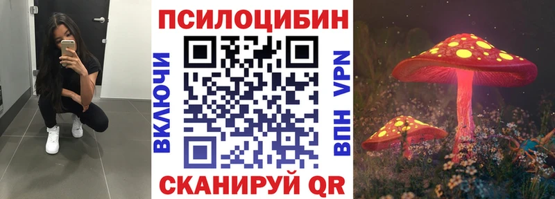 mega зеркало  Шимановск  Псилоцибиновые грибы GOLDEN TEACHER 
